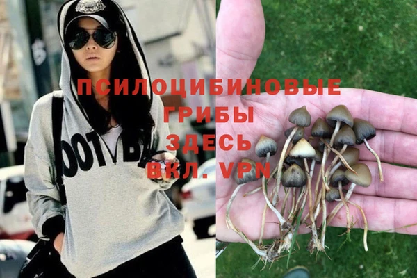 apvp Семёнов