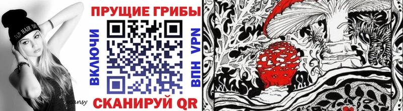 Псилоцибиновые грибы Psilocybe  Агидель 